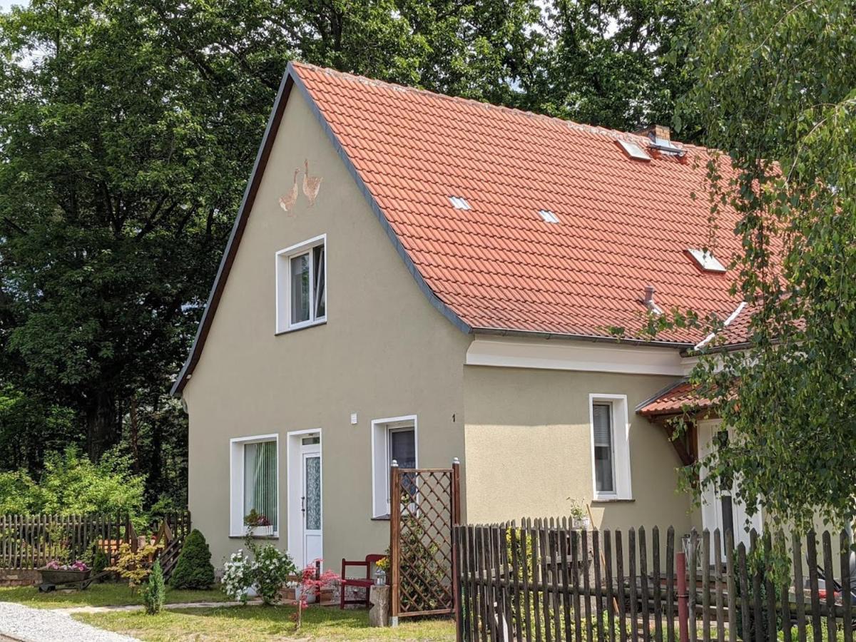 Helenes Ferienwohnung Auf Dem Bauernhof - Lausitzer Seenland Lauta Dış mekan fotoğraf