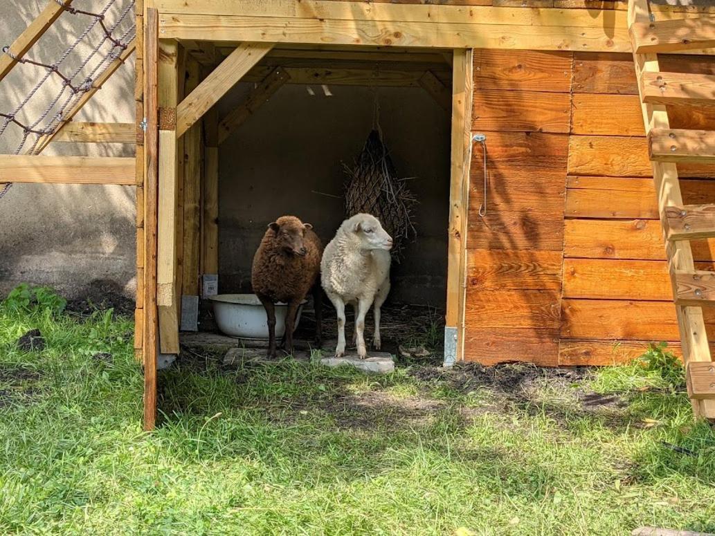 Helenes Ferienwohnung Auf Dem Bauernhof - Lausitzer Seenland Lauta Dış mekan fotoğraf
