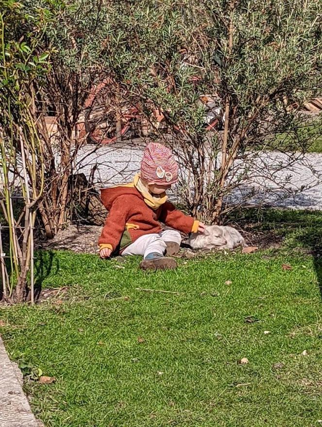 Helenes Ferienwohnung Auf Dem Bauernhof - Lausitzer Seenland Lauta Dış mekan fotoğraf