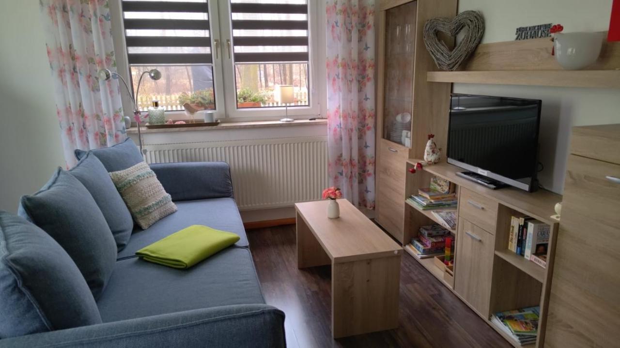 Helenes Ferienwohnung Auf Dem Bauernhof - Lausitzer Seenland Lauta Dış mekan fotoğraf