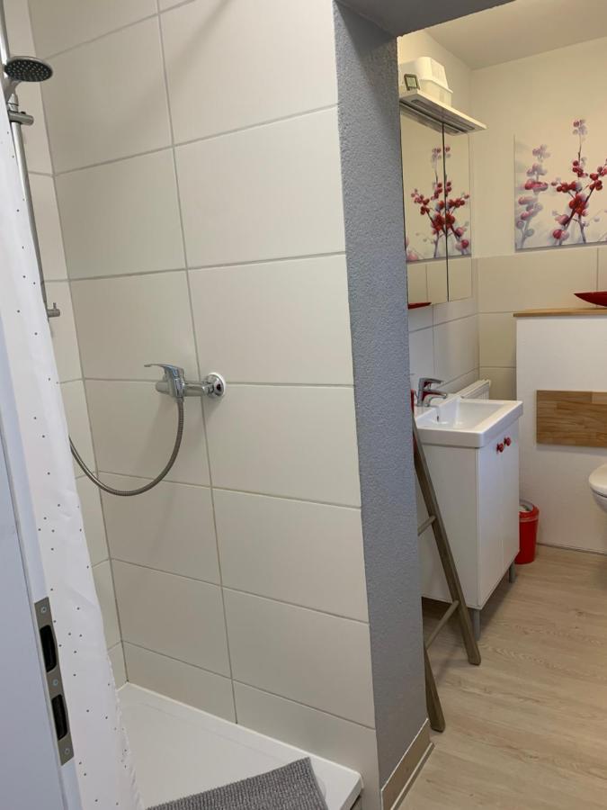 Helenes Ferienwohnung Auf Dem Bauernhof - Lausitzer Seenland Lauta Dış mekan fotoğraf